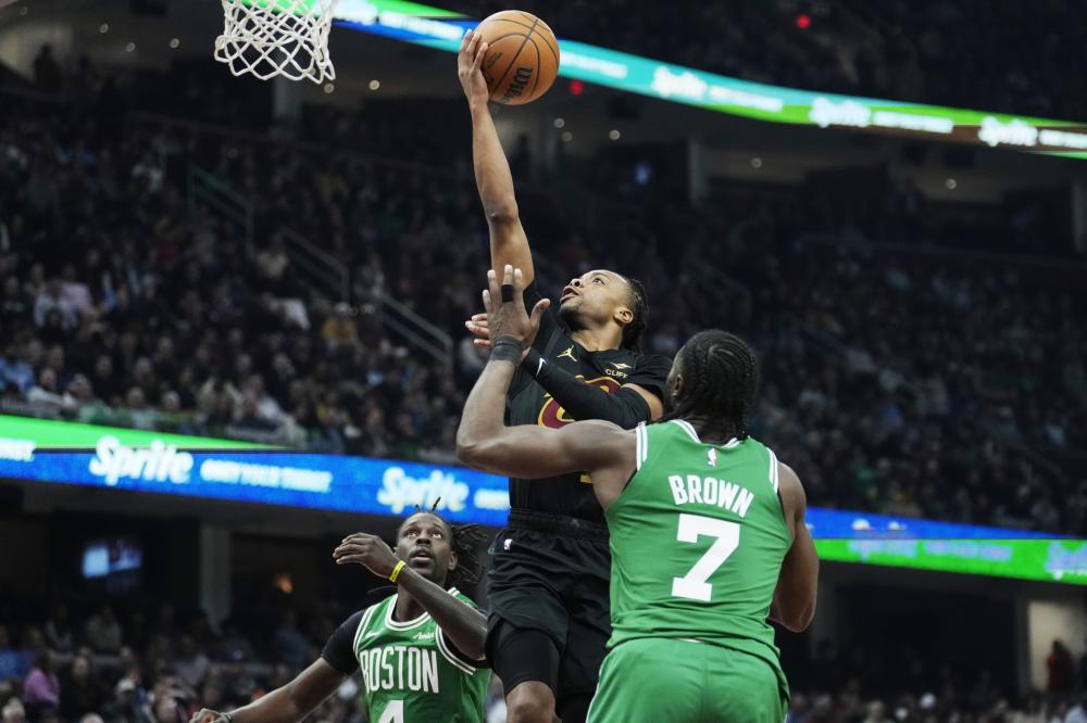 罕见而宝贵 罕见而宝贵